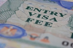 el concepto de tasas de visado de entrada